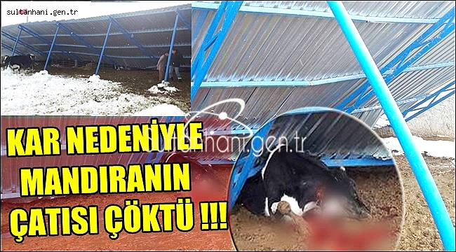 KAR NEDENİYLE MANDIRANIN ÇATISI ÇÖKTÜ