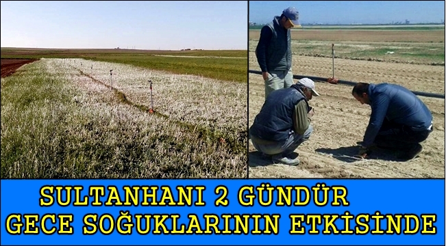 SULTANHANI 2 GÜNDÜR GECE SOĞUKLARININ ETKİSİNDE