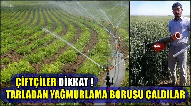 TARLADAN YAĞMURLAMA BORULARINI ÇALDILAR