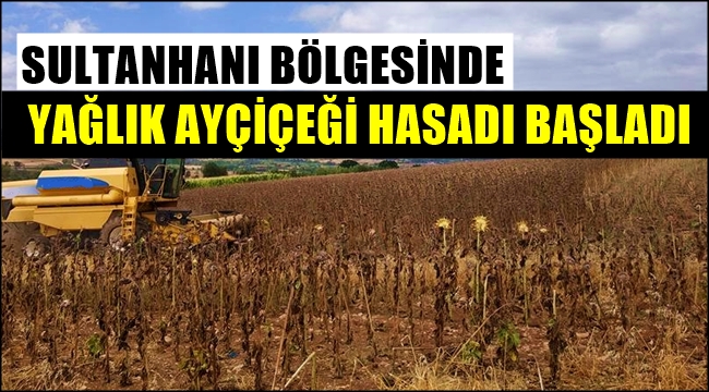SULTANHANI BÖLGESİNDE AYÇİÇEĞİ HASADI BAŞLADI