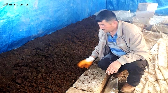 Eskil&#039;de Yeni İş Alanı Kaliforniya Solucanı yetiştiriciliği!