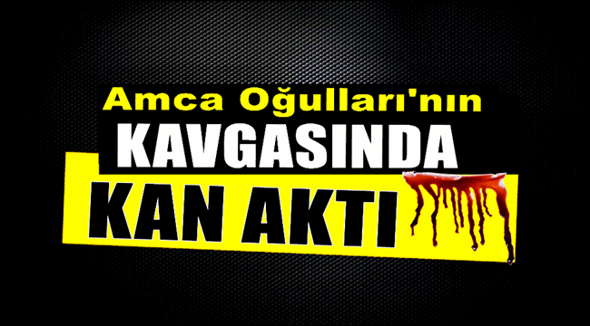 ESKİL&#039;DE AMCA OĞULLARININ KAVGASINDA KAN AKTI