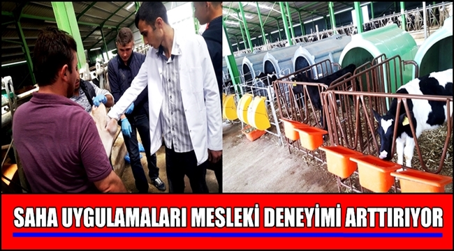 LABORANT VE VETERİNERLİK ÖĞRENCİLERİ SAHA UYGULAMALARI MESLEKİ DENEYİMİ ARTTIRIYOR