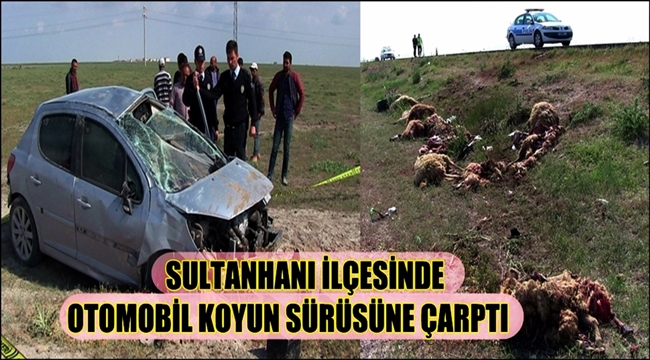 SULTANHANI İLÇESİNDE OTOMOBİL KOYUN SÜRÜSÜNE ÇARPTI