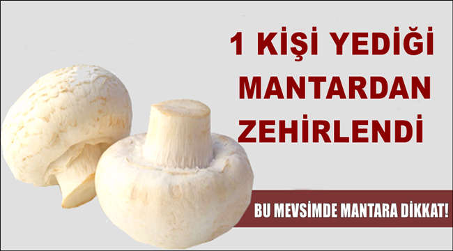 ESKİL İLÇESİNDE 1 KİŞİ MANTARDAN ZEHİRLENDİ