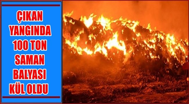ESKİL İLÇESİNDE ÇIKAN YANGINDA 100 TON SAMAN BALYASI KÜL OLDU