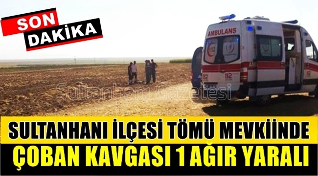 SULTANHANI İLÇESİ TÖMÜ MEVKİİNDE ÇOBAN KAVGASI 1 AĞIR YARALI