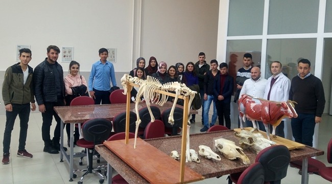 ESKİL MYO ÖĞRENCİLERİ LABORATUVARLARDA UYGULAMA EĞİTİMİ ALDI