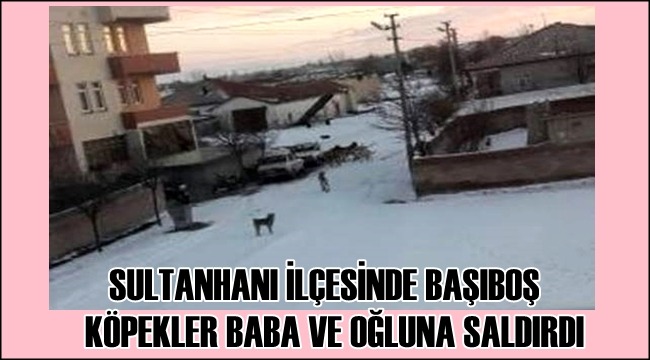 SULTANHANI İLÇESİNDE BAŞIBOŞ KÖPEKLER BABA VE OĞLUNA SALDIRDI