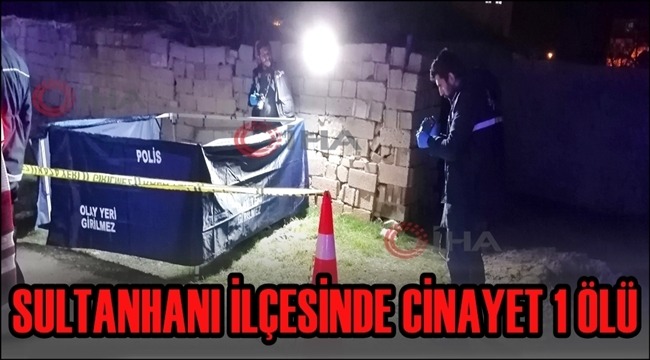SULTANHANI İLÇESİNDE AFGANLI CİNAYETİ 1 ÖLÜ