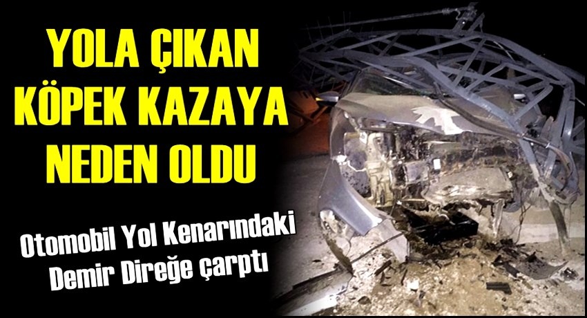 ESKİL İLÇESİNDE YOLA ÇIKAN KÖPEK KAZAYA NEDEN OLDU