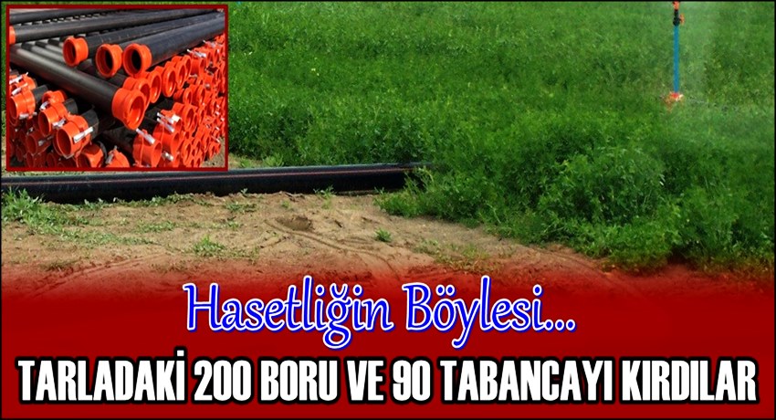 HASETLİĞİN BÖYLESİ! ESKİL&#039;DE TARLADAKİ 200 SULAMA BORUSU VE 90 TABANCAYI KIRDILAR