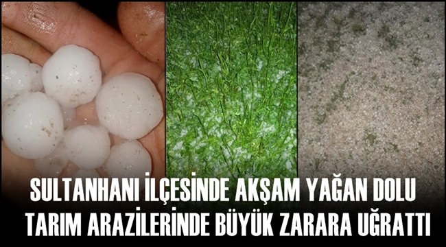 SULTANHANI İLÇESİNDE AKŞAM YAĞAN DOLU TARIM ARAZİLERİNDE BÜYÜK ZARARA UĞRATTI