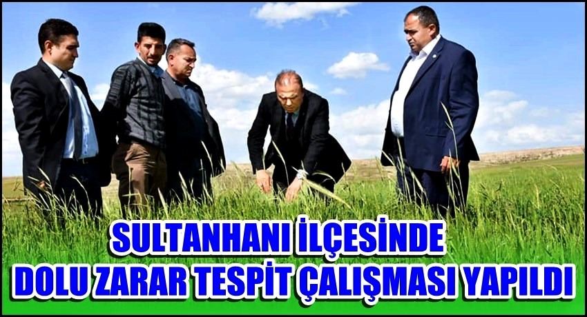 SULTANHANI İLÇESİNDE DOLU ZARAR TESPİT ÇALIŞMASI YAPILDI