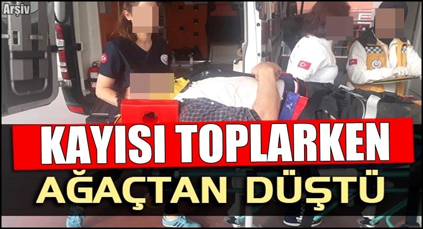 ESKİL İLÇESİNDE AĞAÇTAN KAYISI TOPLARKEN DÜŞEN 73 YAŞINDAKİ ŞAHIS YARALANDI