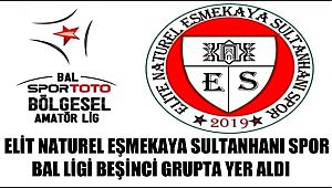 EŞMEKAYA SULTANHANI SPOR BAL LİGİ BEŞİNCİ GRUPTA YER ALDI