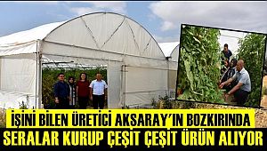 İŞİNİ BİLEN AKSARAY'IN BOZKIRINDA SERA KURUP ÇEŞİT ÇEŞİT ÜRÜN ALIYOR