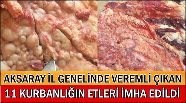 KURBANLIKLARDA VEREM HASTALIĞI, 11 KURBANDA VEREM ÇIKTI