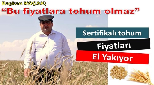 SERTİFİKALI TOHUM FİYATLARI EL YAKIYOR- AKSARAY HABER