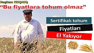 SERTİFİKALI TOHUM FİYATLARI EL YAKIYOR- AKSARAY HABER