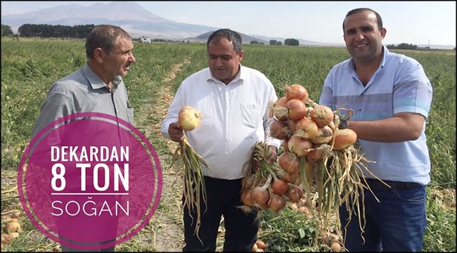 AKSARAY&#039;DA SOĞAN EKEN ÜRETİCİ DEKARDAN 8 TON SOĞAN ALDI