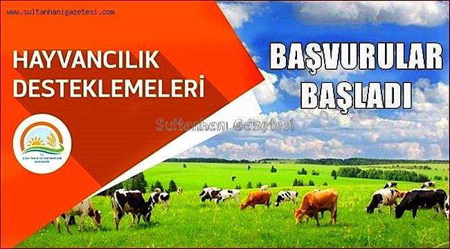 SULTANHANINDA 2019 YILI HAYVANCILIK DESTEKLEMELERİ BAŞVURULARI BAŞLADI