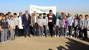 YENİKENT BELEDİYESİ 2000 FİDAN DİKTİ