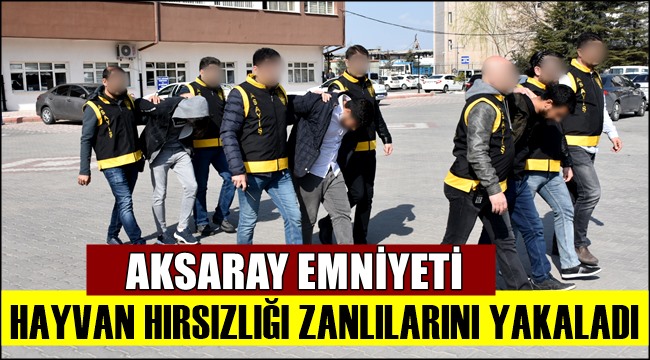 AKSARAY EMNİYETİ HAYVAN HIRSIZLIĞI ZANLILARINI YAKALADI