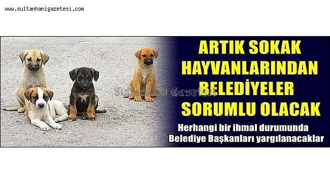 ARTIK SOKAK HAYVANLARINDAN BELEDİYELER SORUMLU OLACAK