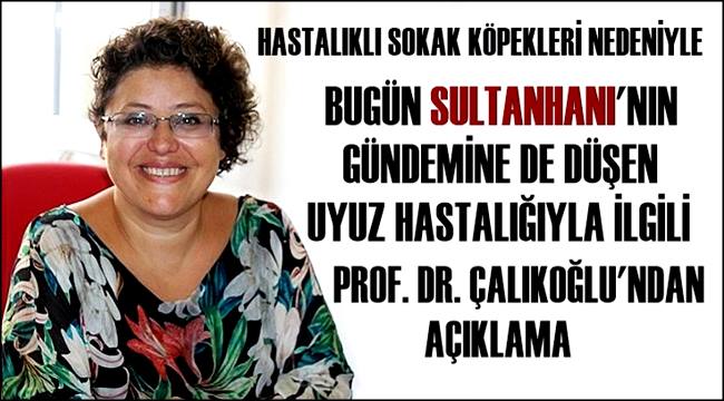 SULTANHANI GÜNDEMİNEDE DÜŞEN UYUZ HASTALIĞIYLA İLGİLİ PROF. DR. EMEL ERDAL ÇALIKOĞLU BİLGİ VERDİ