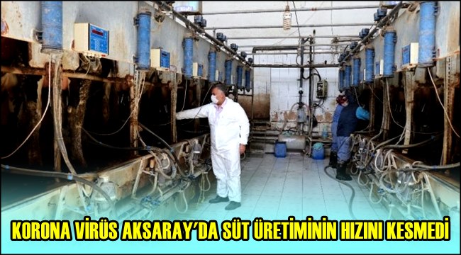KORONA VİRÜS AKSARAY&#039;DA SÜT ÜRETİMİNİN HIZINI KESMEDİ