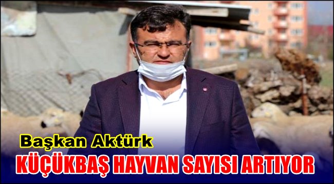 KÜÇÜKBAŞ HAYVAN SAYISI ARTIYOR