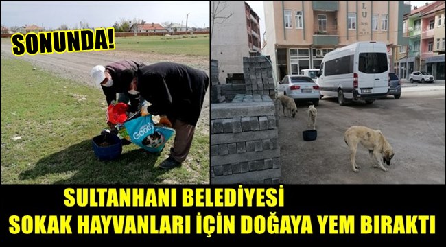 SONUNDA! SULTANHANI BELEDİYESİ SOKAK HAYVANLARI İÇİN DOĞAYA YEM BIRAKTI
