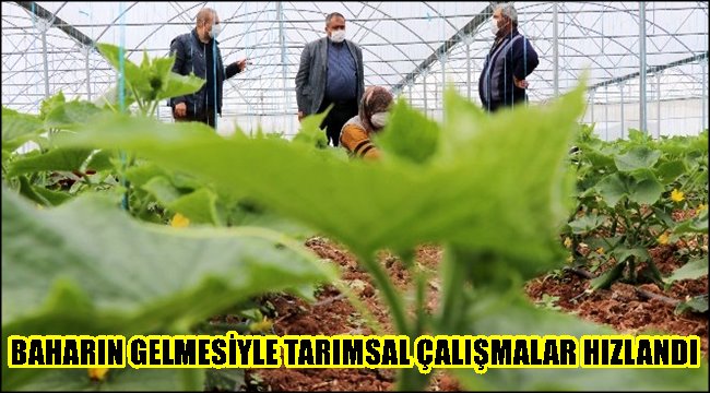 BAHARIN GELMESİYLE AKSARAY BÖLGESİNDE TARIMSAL ÇALIŞMALAR HIZLANDI