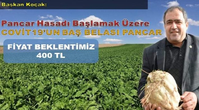 ŞEKER PANCARINDA ÜRETİCİNİN FİYAT BEKLENTİSİ TON BAŞINA 400 LİRA