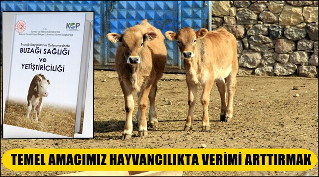 TEMEL AMACIMIZ HAYVANCILIKTA VERİMİ ARTTIRMAK