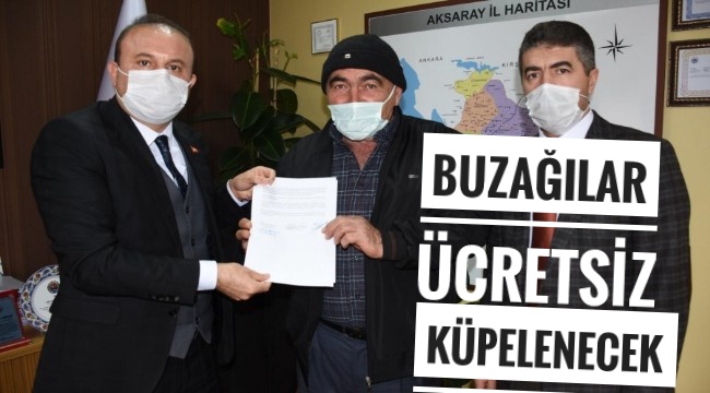 AKSARAY&#039;DA 2021 YILINDA BUZAĞILAR ÜCRETSİZ KÜPELENECEK