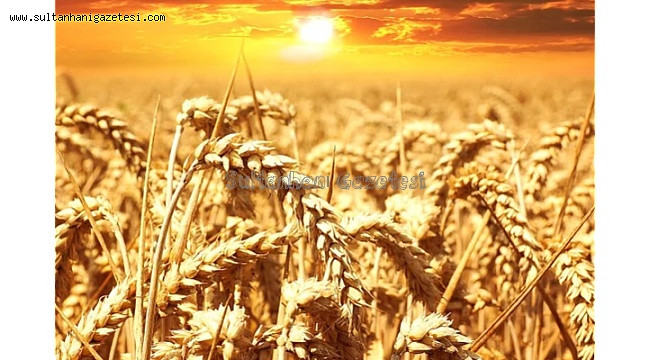 Tarımda havza modeli yaygınlaştırılmalı