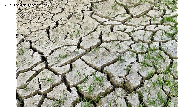 Tarım ve Orman Bakanlığı: &quot;Kuraklıktan en az etkilenmek için çalışmalar başladı&quot;