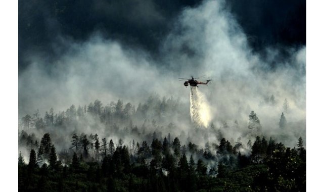 Manavgat&#039;ta orman yangını