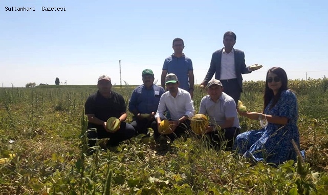 YEŞİLTÖMEK KÖYÜNDE GENİŞ KATILIMLI HASAT