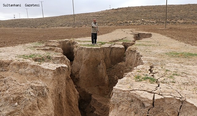 KONYA OVASINDA OBRUK SAYISI 2 BİNE ULAŞTI
