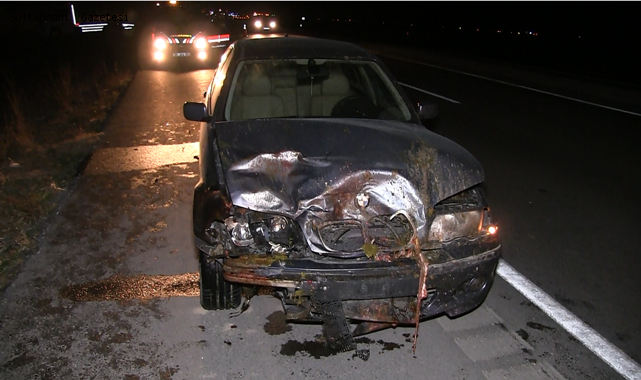 SULTANHANI İLÇESİNDE 2 OTOMOBİL KOYUNLARA ÇARPTI