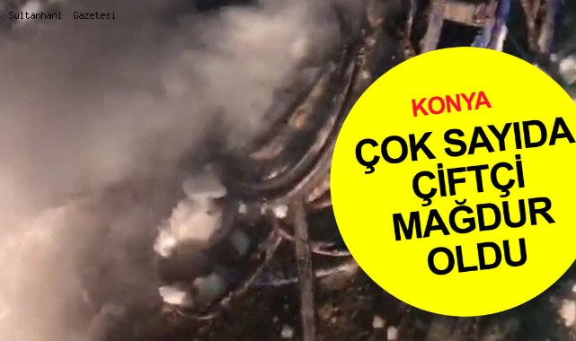 TARLADAKİ SULAMA TRAFOSUNDAN ÇALDIKLARI KABLOLARI YAKARKEN YAKALANDILAR