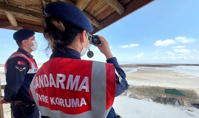 ESKİL TUZ GÖLÜ&#039;NDE FLAMİNGO ÖLÜMLERİNE JANDARMA ÖNLEMİ