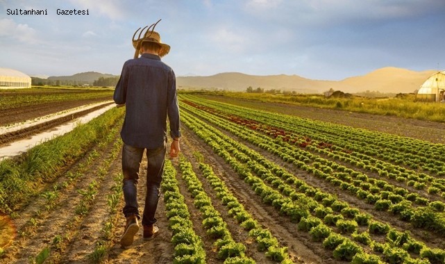 SULTANHANILI ÇİFTÇİLER ZİRAAT ODASI&#039;NIN KURULMASINI İSTİYOR