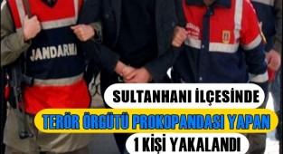  TERÖR ÖRGÜTÜ PROPAGANDASI YAPAN 1 KİŞİ SULTANHANI İLÇESİNDE YAKALANDI