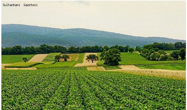 2022&#039;de Yunanistan Tarla Fiyatları ve Çiftçi Gelirleri