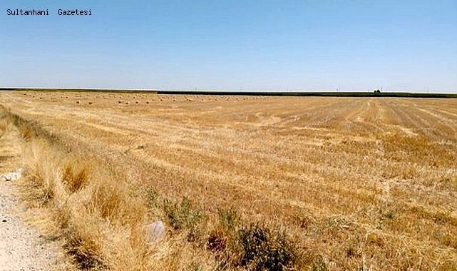 ESKİL İLÇESİNDE TARLADAN 800 ADET BALYA ÇALINDI