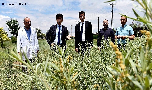 SÜRDÜRÜLEBİLİR HAYVANCILIK İÇİN DESTEKLER DEVAM EDECEK